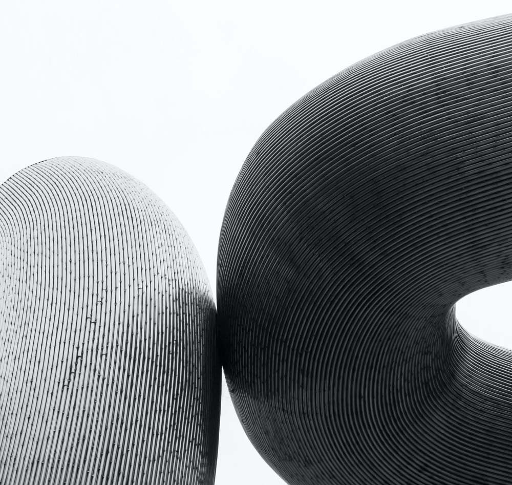 Professional companions at social gathering